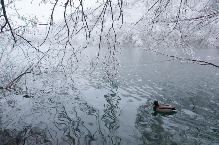 Prava ruta: Izlet na Plitvice