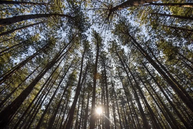 KOLINDA U UNIFORMI: Predsjednica posjetila zimski kamp u Udbini