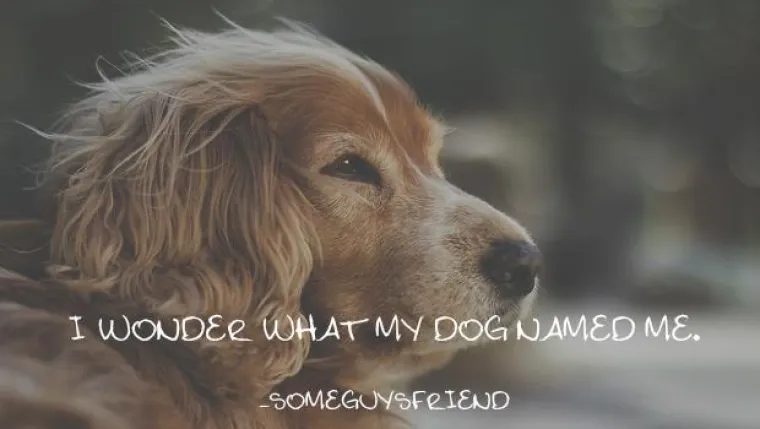 Znate li kako vaš pas vas zove?