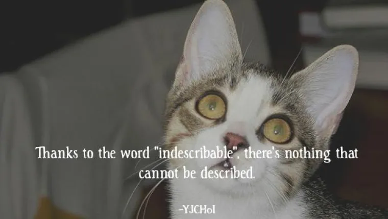 Zbog riječi neopisivo, baš sve se može opisati riječima