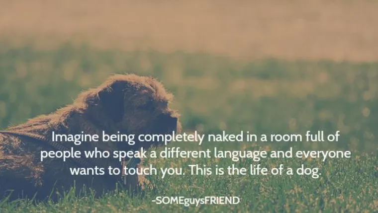 MISLI KOJE ĆE VAS UZNEMIRITI: Možda sve zemlje imaju nindže, ali znamo samo japanske jer su traljavi?