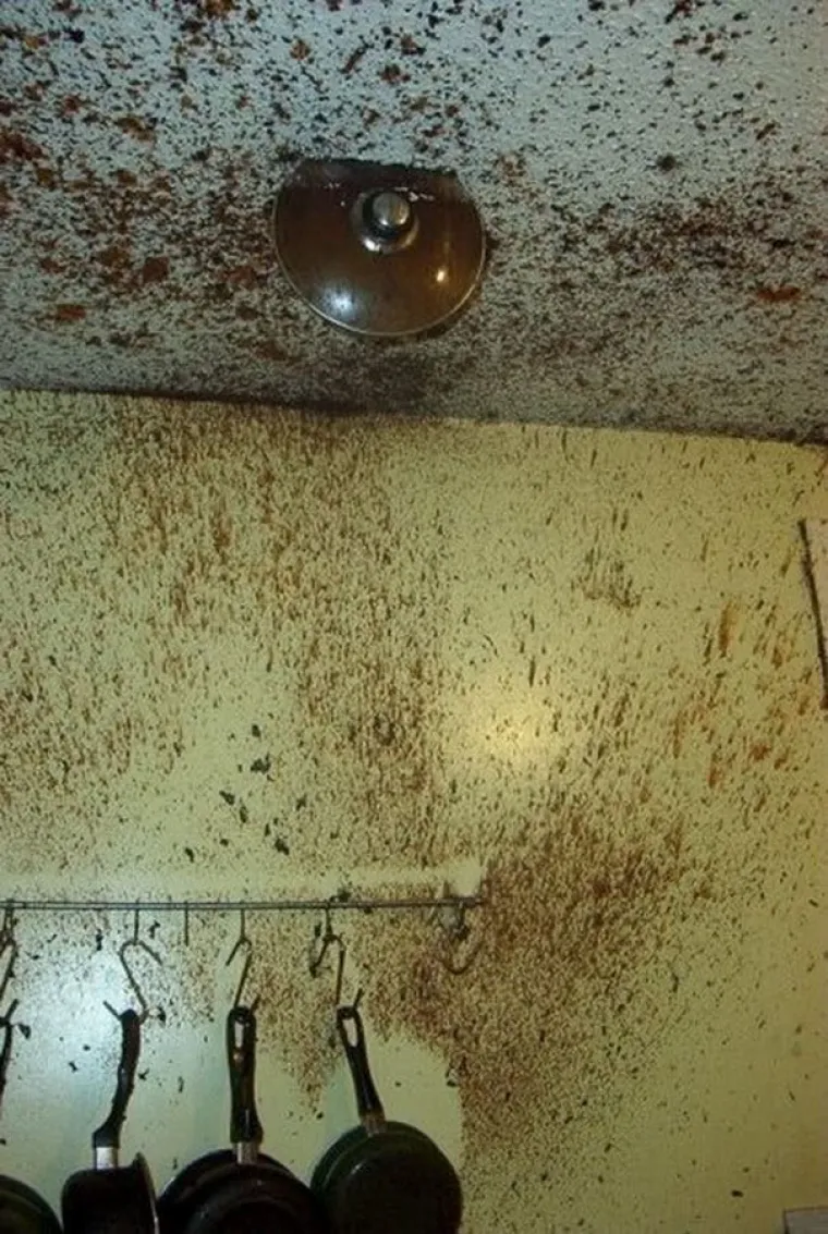 PI&Scaron;I KUĆI PROPALO: Njihovi poku&scaron;aji kuhanja zavr&scaron;ili su tragikomično