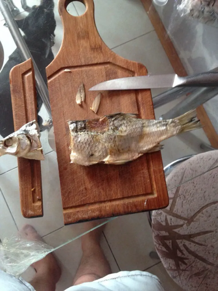 PI&Scaron;I KUĆI PROPALO: Njihovi poku&scaron;aji kuhanja zavr&scaron;ili su tragikomično