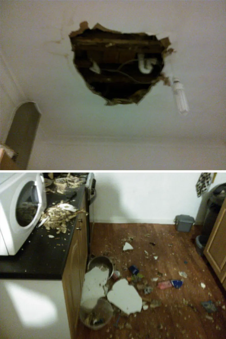 PI&Scaron;I KUĆI PROPALO: Njihovi poku&scaron;aji kuhanja zavr&scaron;ili su tragikomično