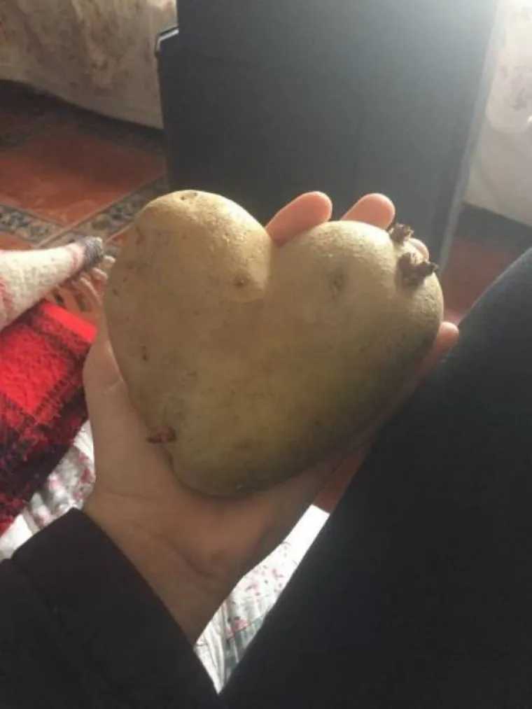 DAJTE SI ODU&Scaron;KA....  Fotografije u kojima će se prepoznati svi oni koje ne podnose Valentinovo