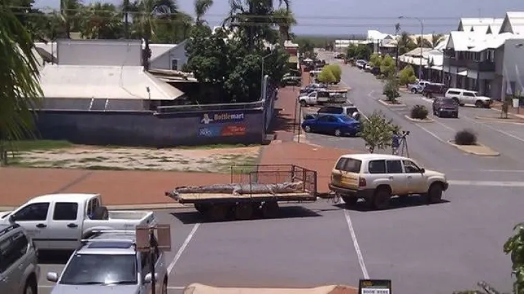 SAMO ZA HRABRE: Tamo vas sve želi pojesti, otrovati ili nasmrt prestra&scaron;iti