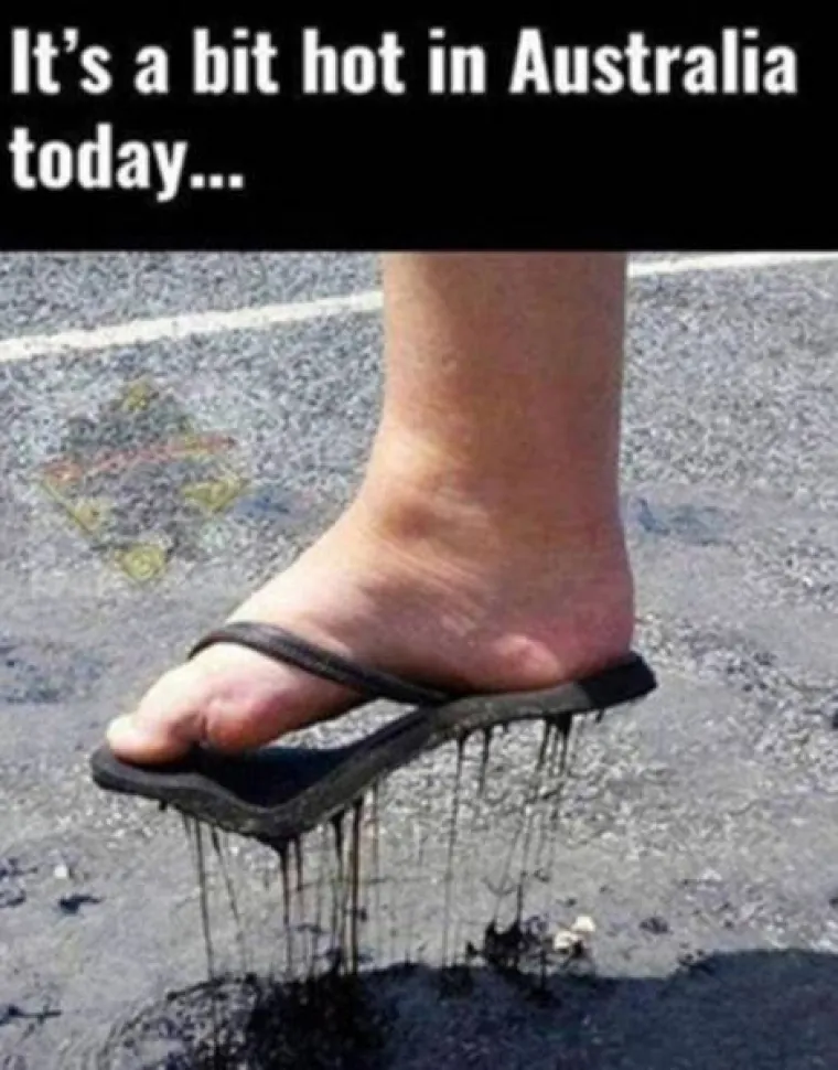 SAMO ZA HRABRE: Tamo vas sve želi pojesti, otrovati ili nasmrt prestra&scaron;iti