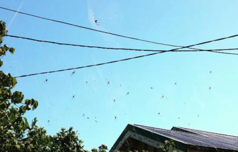 SAMO ZA HRABRE: Tamo vas sve želi pojesti, otrovati ili nasmrt prestra&scaron;iti