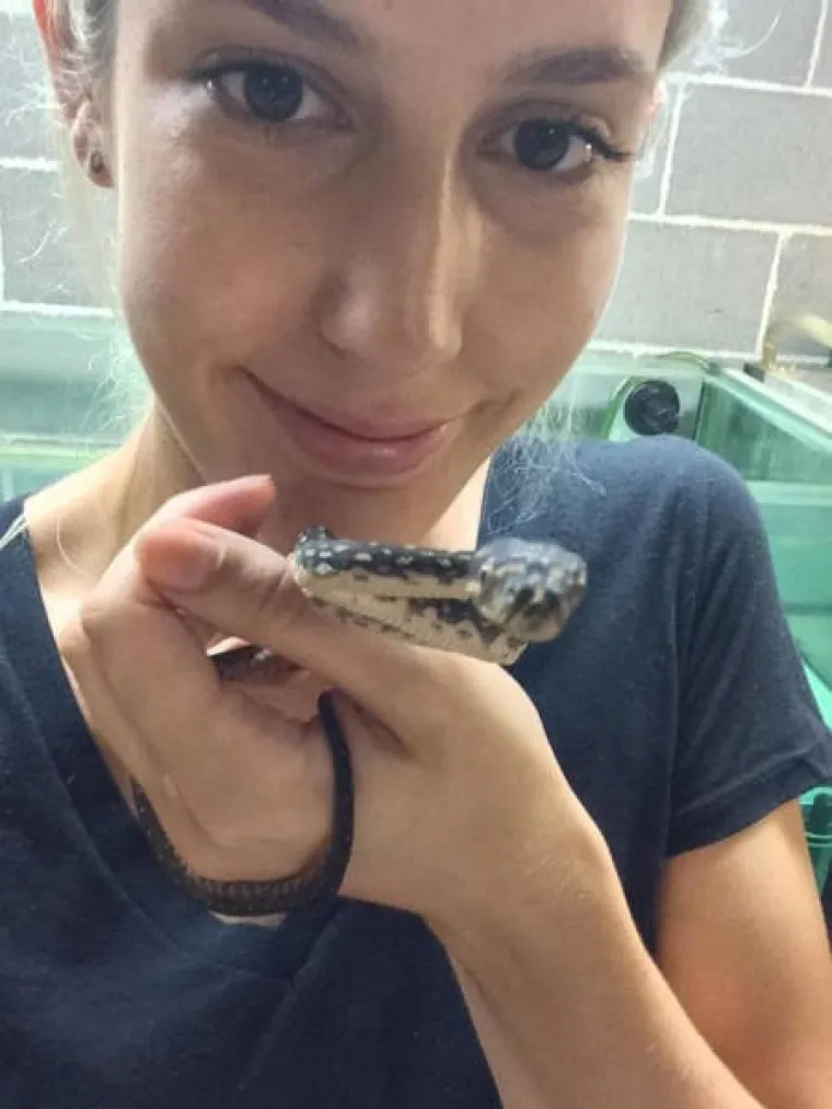 SAMO ZA HRABRE: Tamo vas sve želi pojesti, otrovati ili nasmrt prestra&scaron;iti