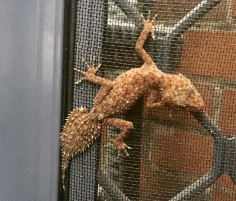 SAMO ZA HRABRE: Tamo vas sve želi pojesti, otrovati ili nasmrt prestra&scaron;iti