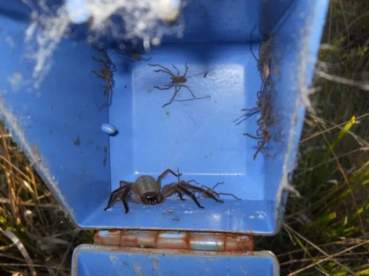 SAMO ZA HRABRE: Tamo vas sve želi pojesti, otrovati ili nasmrt prestra&scaron;iti