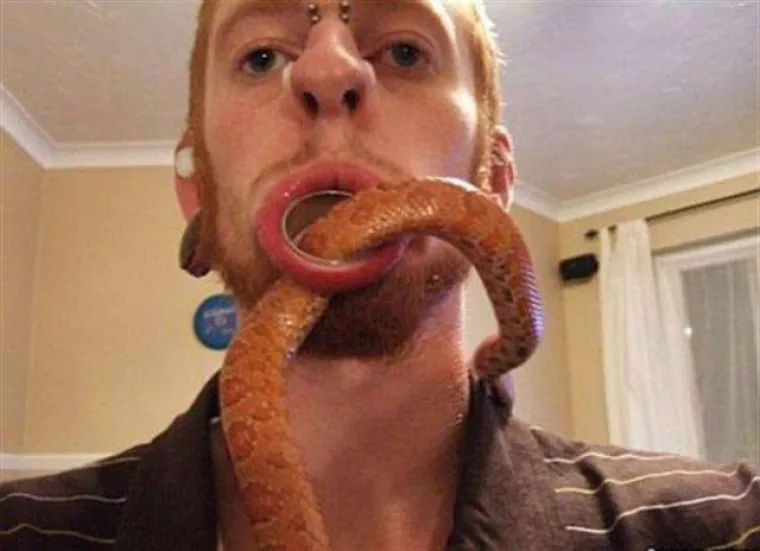 PRAVI PRAVCATI SUPERJUNACI: Ako prežive unatoč svojoj gluposti znači da imaju nadnaravne moći