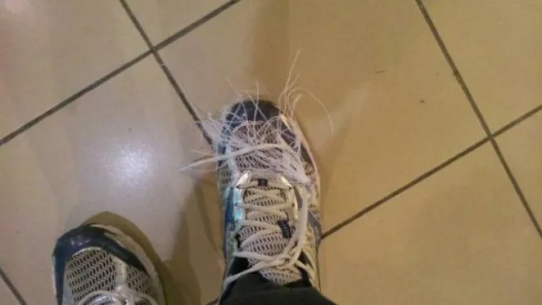 PRINIJELI ŽRTVE POKRETNIM STEPENICAMA: Nastavljaju nas prevoziti zahvaljujući ovim milodarima