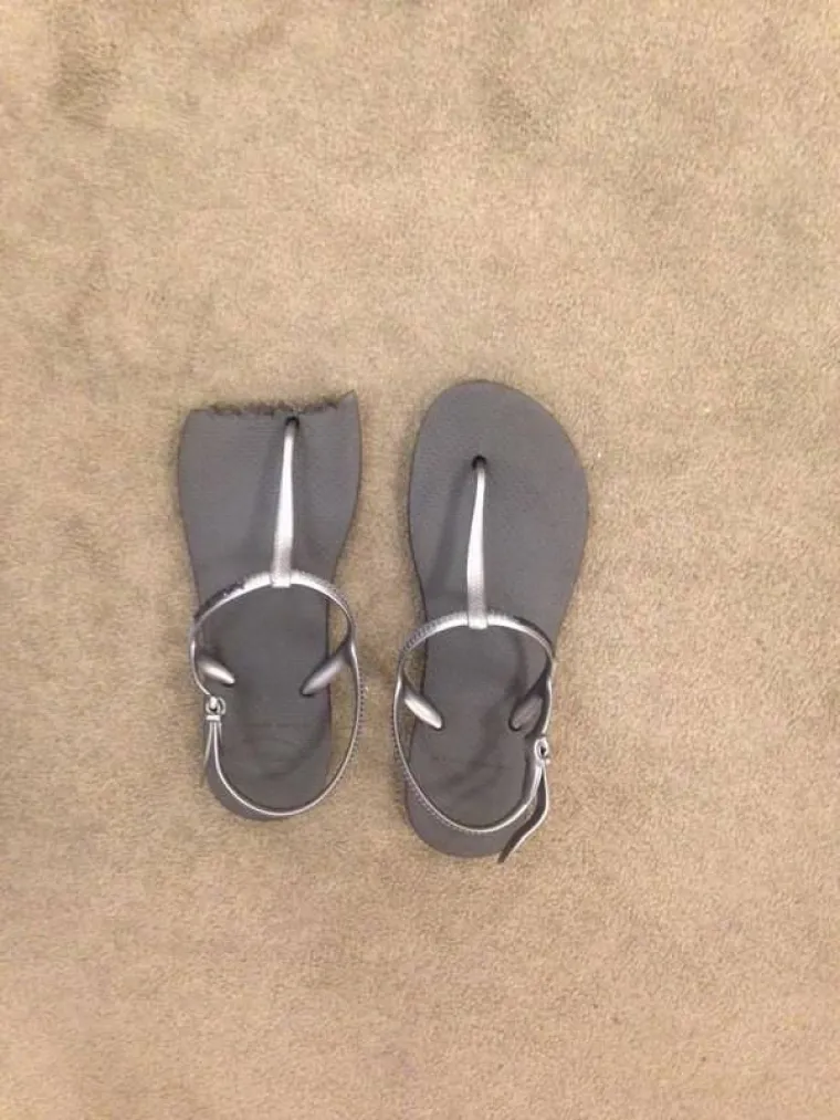 PRINIJELI ŽRTVE POKRETNIM STEPENICAMA: Nastavljaju nas prevoziti zahvaljujući ovim milodarima