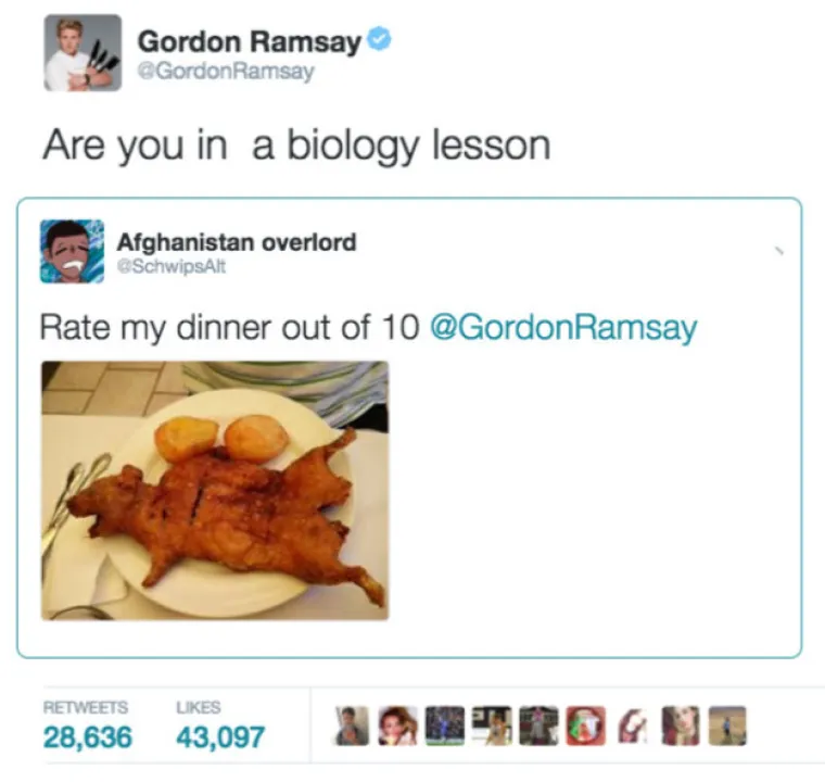 Slavni kuhar Gordon Ramsay na svojem Twitter profilu obožava kritizirati kulinarske pokušaje običnih ljudi koji su dovoljno hrabri da mu pošalju fotografije svojih pokušaja. Kako je Ramsay poznat po tome da nema dlake na jeziku, uopće ne štedi reći kuharima amaterima što ih ide. Neke od najurnebesnijih kritika okupili smo u galeriji.