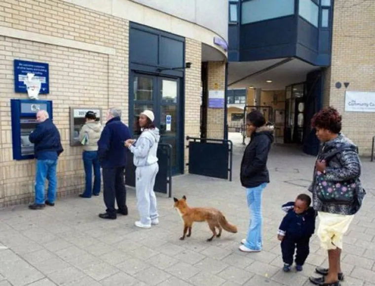 CIJELI SVIJET NAM SE SMIJE: Među najbizarnijim bankomatima na svijetu na&scaron;ao se i jedan iz Zagreba