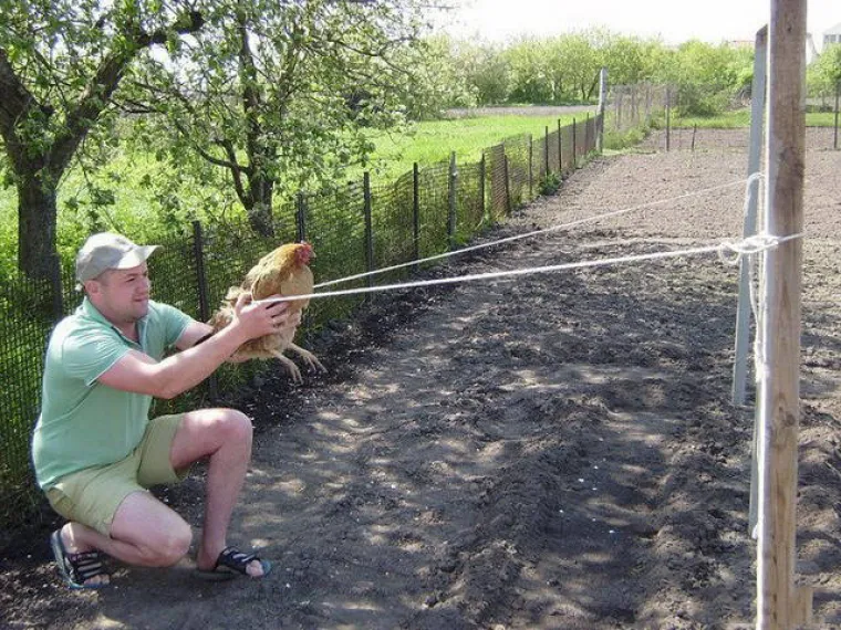 MU&Scaron;KARCI SU NEKA ČUDNA VRSTA: Kažu da ne razumiju žene, a onda rade ovakve gluposti