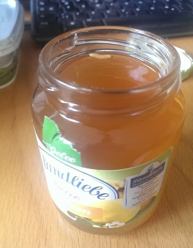 SAMO ZA NAJHRABRIJE: Možete li pogledati galeriju &scaron;okantnih prizora sa svih strana svijeta do kraja?