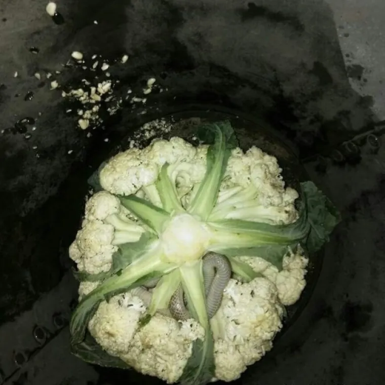 SAMO ZA NAJHRABRIJE: Možete li pogledati galeriju &scaron;okantnih prizora sa svih strana svijeta do kraja?