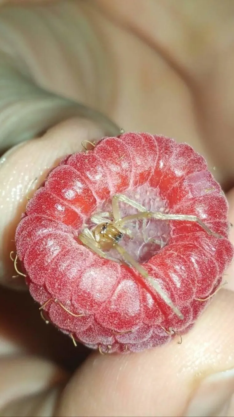 SAMO ZA NAJHRABRIJE: Možete li pogledati galeriju &scaron;okantnih prizora sa svih strana svijeta do kraja?