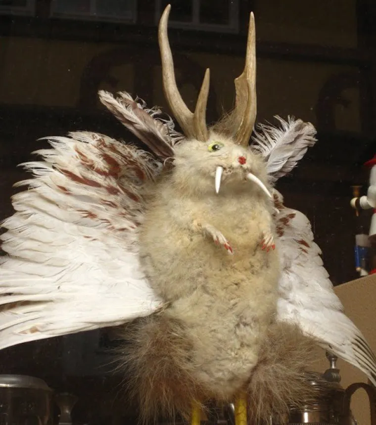 POGODITE O KOJIM JE ŽIVOTINJAMA RIJEČ: Prepariranjem napravili monstrume, možete li ih prepoznati?