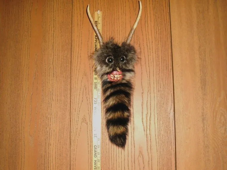 POGODITE O KOJIM JE ŽIVOTINJAMA RIJEČ: Prepariranjem napravili monstrume, možete li ih prepoznati?