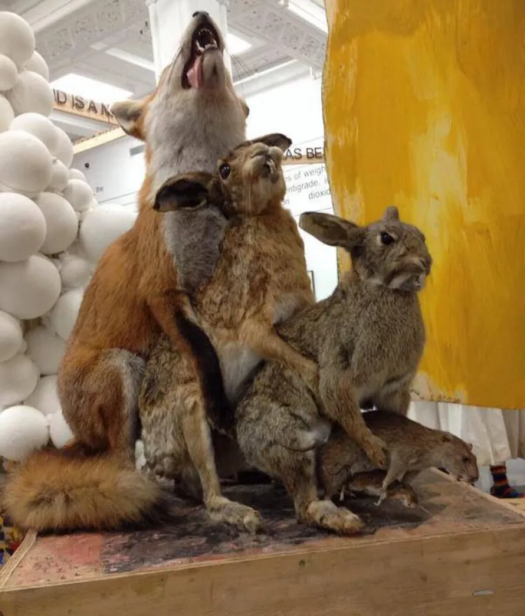 POGODITE O KOJIM JE ŽIVOTINJAMA RIJEČ: Prepariranjem napravili monstrume, možete li ih prepoznati?