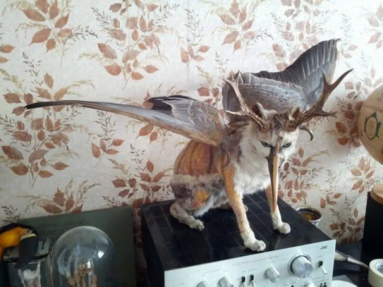 POGODITE O KOJIM JE ŽIVOTINJAMA RIJEČ: Prepariranjem napravili monstrume, možete li ih prepoznati?