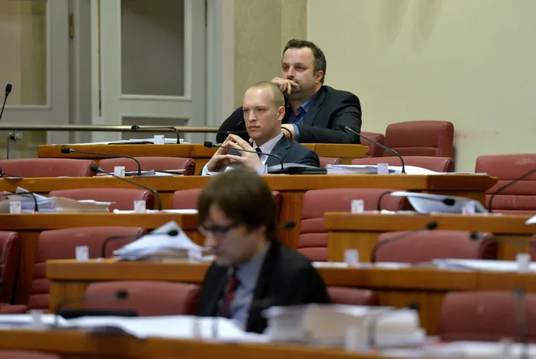 Tomislav Saucha u Saboru