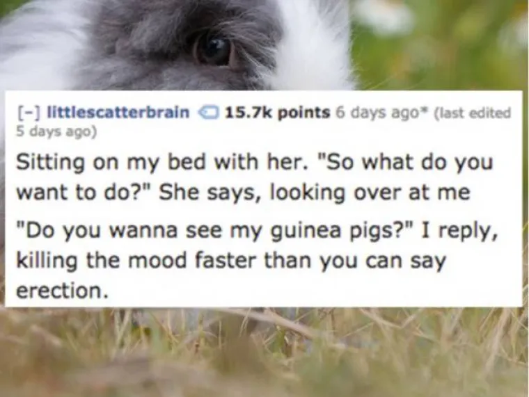 Sjedio sam na krevetu s njom. 'I, što želiš raditi?', pitala me. 'Želiš li vidjeti mojeg zamorca?', ispalio sam i potpuno ubio raspoloženje.