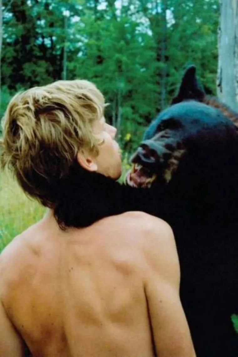 KOJI VRAG SE DOGAĐA?! Ostali su toliko zatečeni prizorima da su ih morali podijeliti sa svijetom