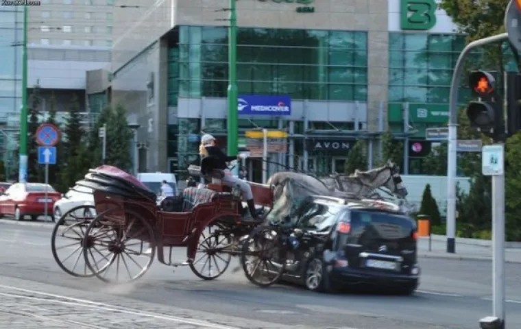 KOJI VRAG SE DOGAĐA?! Ostali su toliko zatečeni prizorima da su ih morali podijeliti sa svijetom