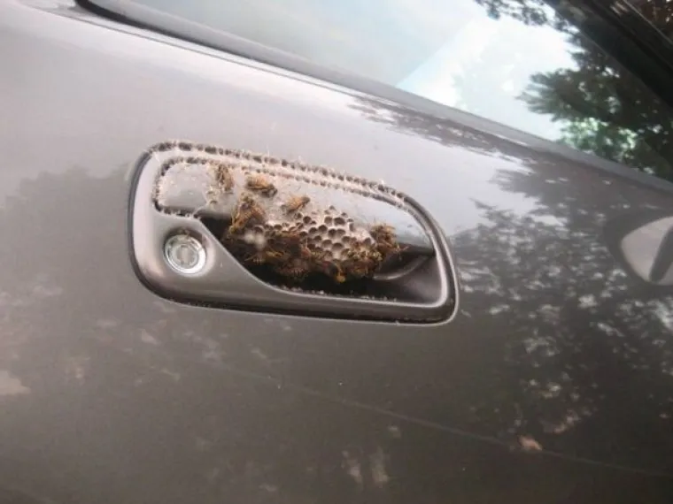 KOJI VRAG SE DOGAĐA?! Ostali su toliko zatečeni prizorima da su ih morali podijeliti sa svijetom