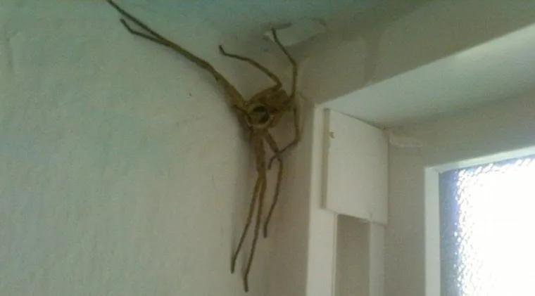 GODI&Scaron;NJI ODMOR IZ PAKLA: Turisti objavili nezaboravne prizore s putovanja koji ih jo&scaron; uvijek progone u snovima