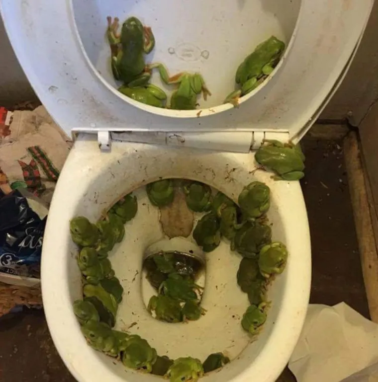 GODI&Scaron;NJI ODMOR IZ PAKLA: Turisti objavili nezaboravne prizore s putovanja koji ih jo&scaron; uvijek progone u snovima