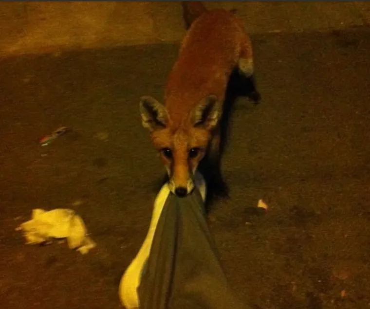 GODI&Scaron;NJI ODMOR IZ PAKLA: Turisti objavili nezaboravne prizore s putovanja koji ih jo&scaron; uvijek progone u snovima