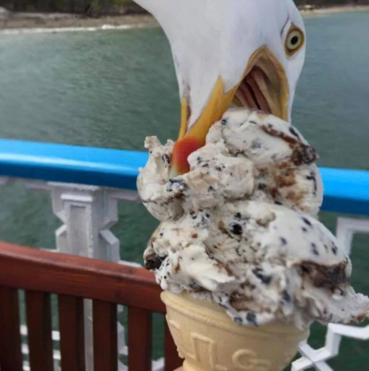 GODI&Scaron;NJI ODMOR IZ PAKLA: Turisti objavili nezaboravne prizore s putovanja koji ih jo&scaron; uvijek progone u snovima