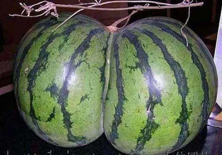 TESTIRAJTE SE: Vidite li i vi guzu u svemu ili imate neprirodno čisti um? Provjerite u galeriji!