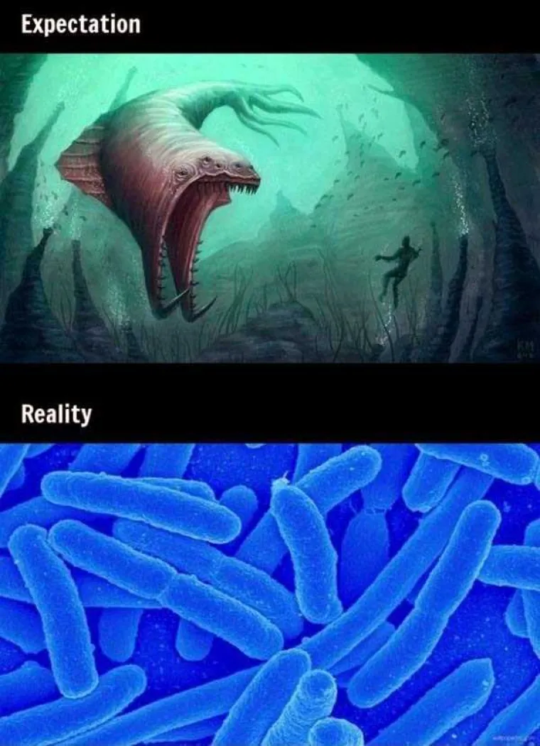 BOLNA RAZOČARANJA: Imali su ogromna očekivanja, a pogledajte &scaron;to su na kraju dobili