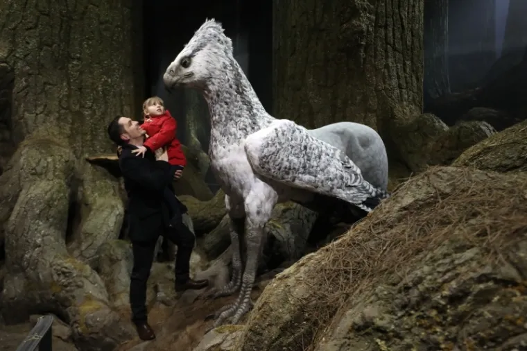 Zavirite u magični svijet: u Londonu otvorena izložba 'The Making of Harry Potter, the Forbidden Forest'