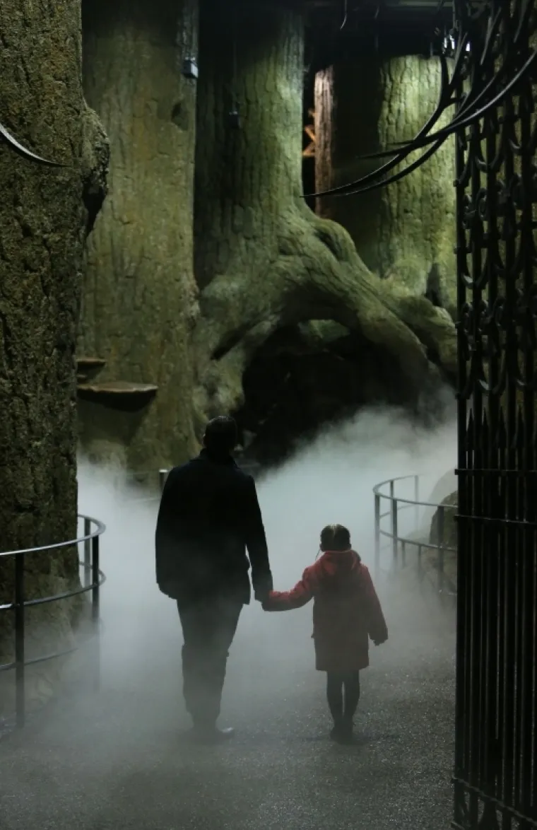 Zavirite u magični svijet: u Londonu otvorena izložba 'The Making of Harry Potter, the Forbidden Forest'