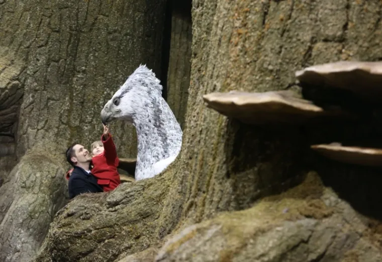 Zavirite u magični svijet: u Londonu otvorena izložba 'The Making of Harry Potter, the Forbidden Forest'