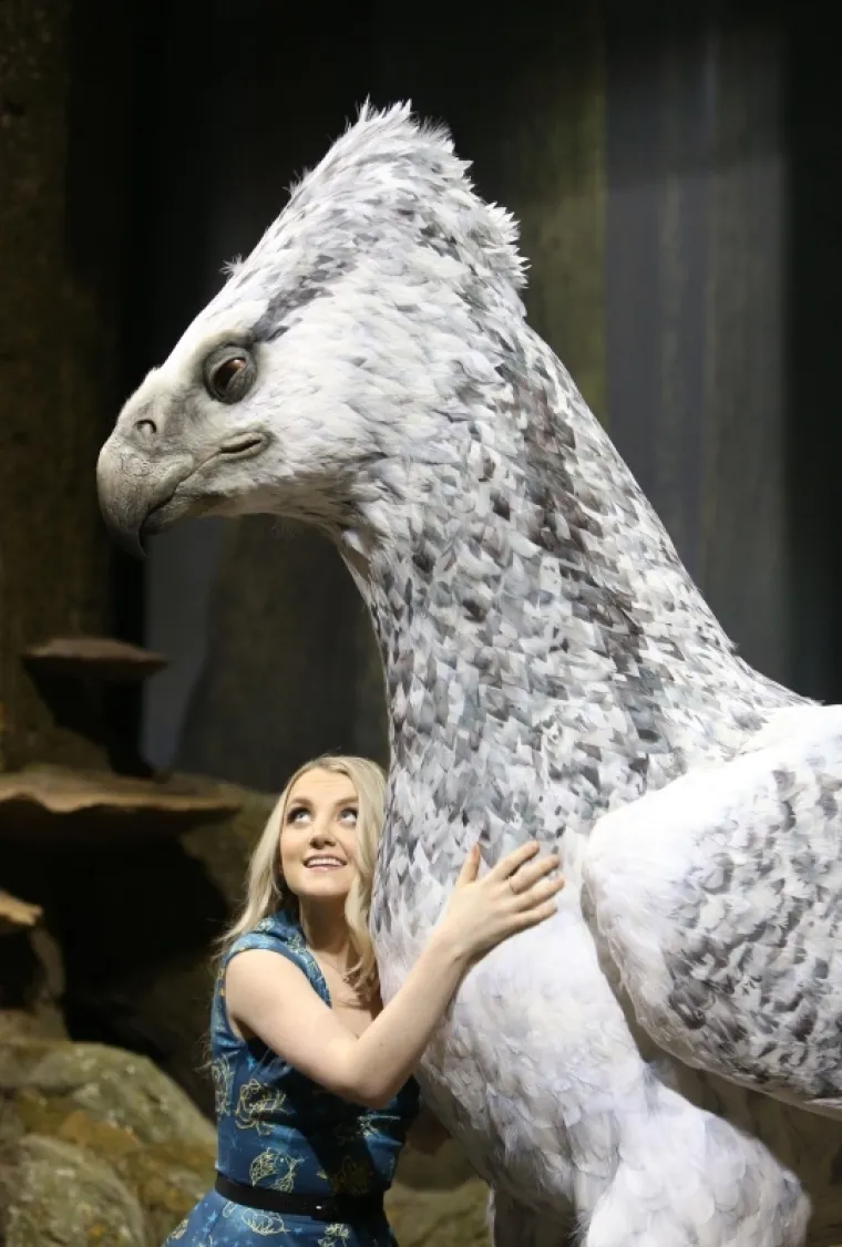 Zavirite u magični svijet: u Londonu otvorena izložba 'The Making of Harry Potter, the Forbidden Forest'