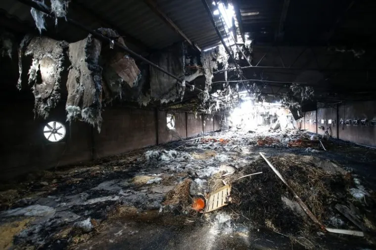 Jučer je u ranim jutarnjim satima između 4.15 i 5.25 sati u Ivanić Gradu, Braće Kalčića, najvjerojatnije zbog kvara na rasvjetnom tijelu - svjetiljci izbio požar na farmi poduzeća iz Ivanić Grada na kojoj  su se nalazili pilići.