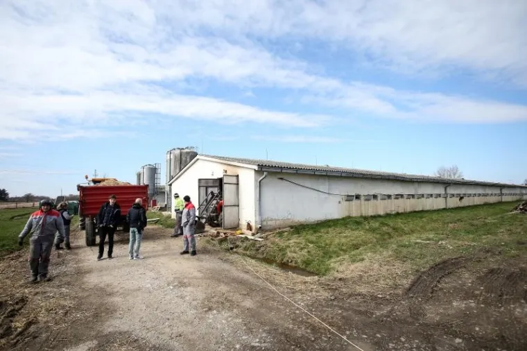 STRAVA U IVANIĆ GRADU: U požaru na farmi izgorjelo gotovo 20.000 pilića