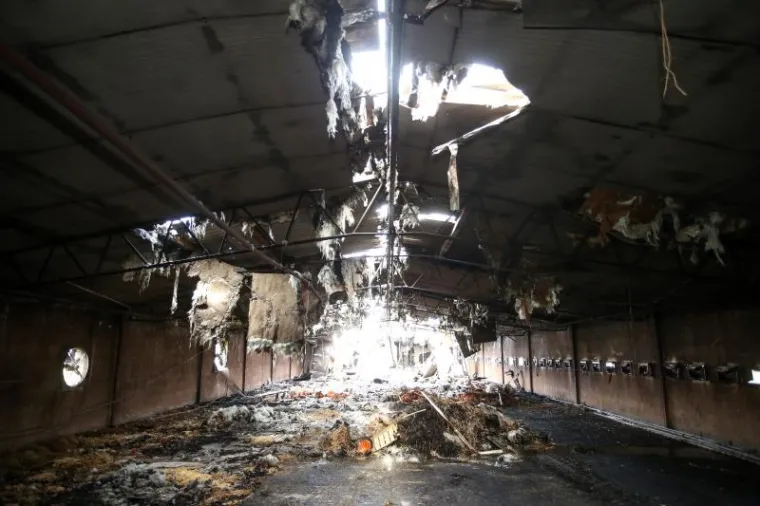 STRAVA U IVANIĆ GRADU: U požaru na farmi izgorjelo gotovo 20.000 pilića