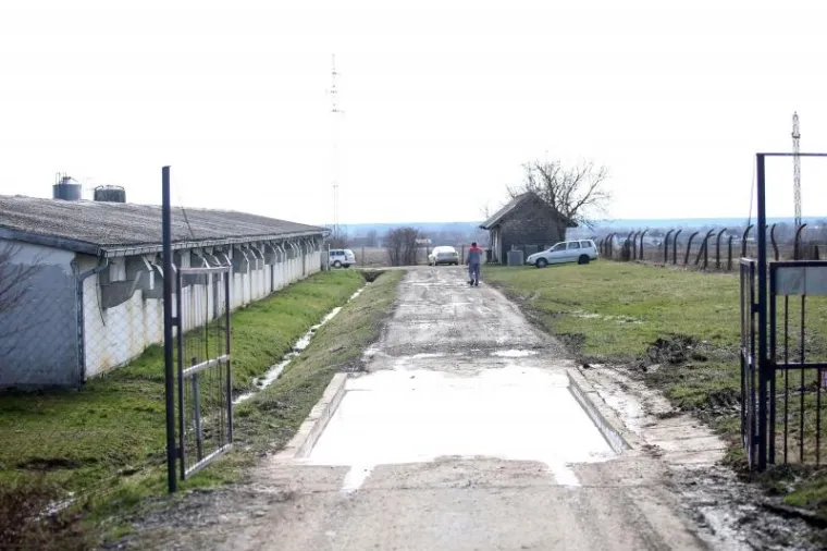 STRAVA U IVANIĆ GRADU: U požaru na farmi izgorjelo gotovo 20.000 pilića