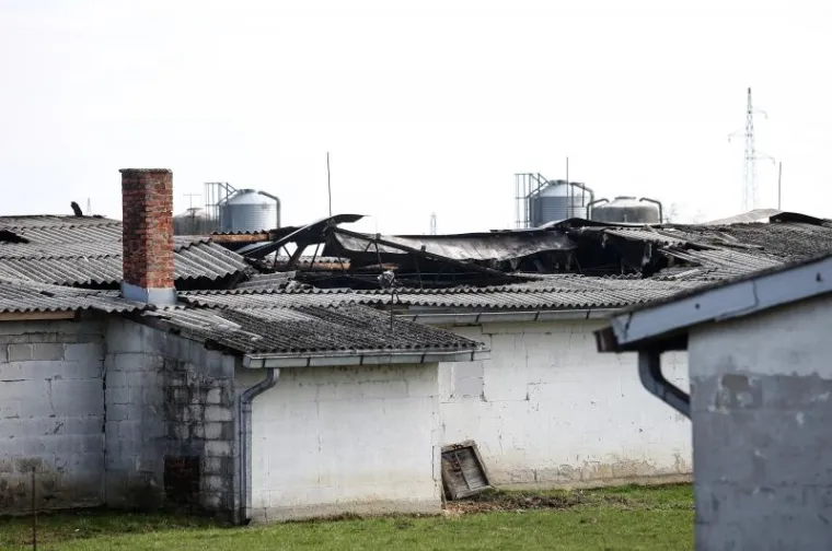 STRAVA U IVANIĆ GRADU: U požaru na farmi izgorjelo gotovo 20.000 pilića