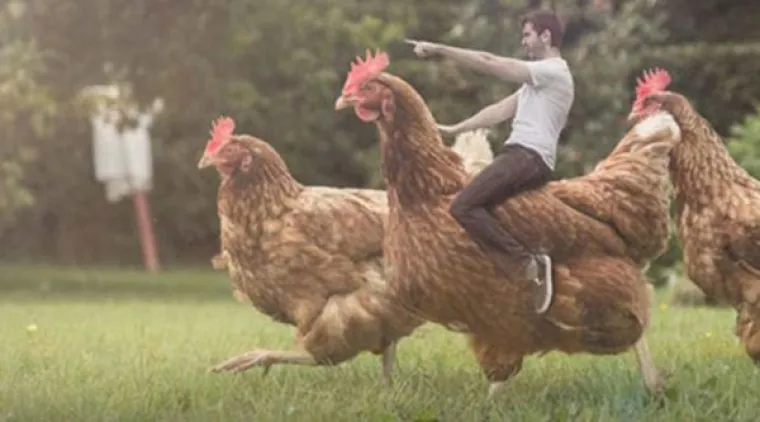 PHOTOSHOP TRAGEDIJE: Kad se potpuni amateri prime posla rezultati su tragični