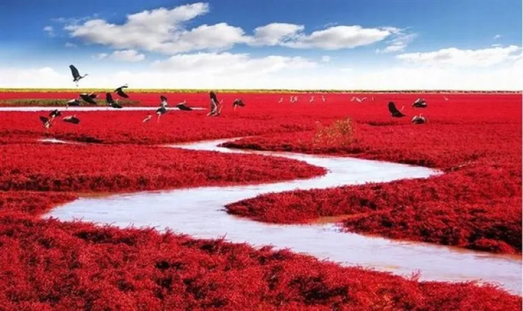 Panjin, Kina.